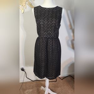 Ann Taylor Loft Size 6 Black Eyelet Dress, Brand new-never worn.